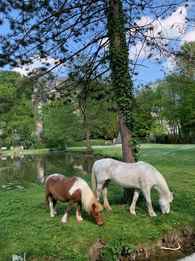 Gite Familial Chateau La Roche Racan Saint-Paterne-Racan Luaran gambar